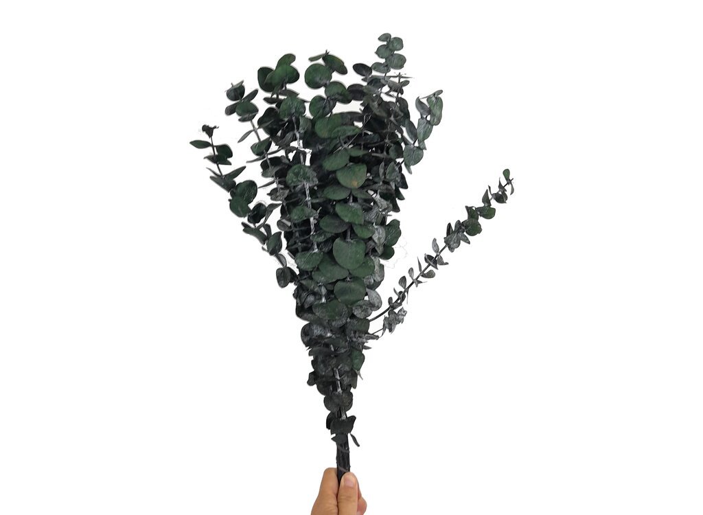 Support De Hamac En Eucalyptus Certifié FSC – Longueur 420 Cm, Charge 200 Kg, Réglable – Pour Hamac Kingsize, Jardin