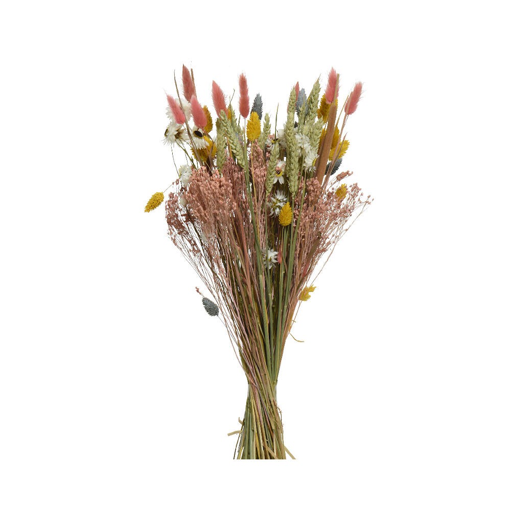 Ramo de flores secas foto de archivo. Imagen de sostenido - 253253602
