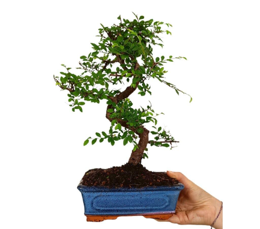 blümchen bambus einlage Blümchen - Auslaufsichere Slip-Einlage (Menstruations-Binde) - Floral  (Grün) Hanf-Bambus
